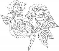 Цветы розы сложная раскраска Раскраски для взрослых скачать