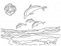 Дельфины в море Раскраски антистресс бесплатно