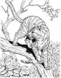 Полосатая кошка на ветке дерева Раскраски антистресс бесплатно