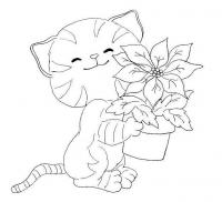 Котенок с комнатным цветком Скачать сложные раскраски