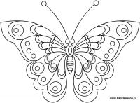 Бабочка Скачать сложные раскраски