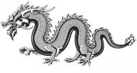 Китайский длинный извивающийся дракон идет по земле Раскраски для взрослых скачать