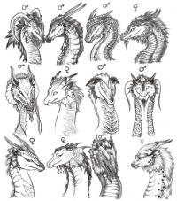 Различные варианты голов драконов Раскраски для взрослых скачать