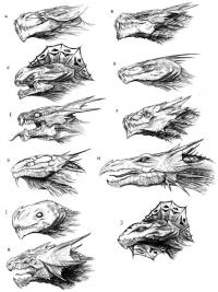 Учимся рисовать различные головы драконов Раскраски для взрослых скачать