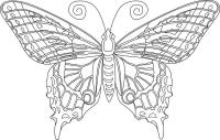 Бабочка со сложными узорами Раскраски для медитации