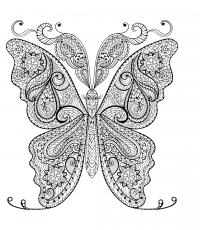 Бабочка Раскраски для медитации