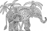 Слон индийский Раскраски для взрослых скачать