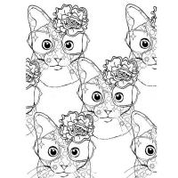 Кошечки с цветочком в очках Раскраски для снятия стресса