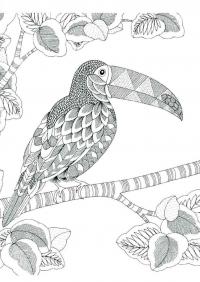 Африканская птица Антистрессовые раскраски