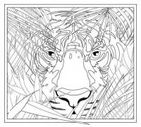 Тигр в листе папоротника Раскраски антистресс бесплатно