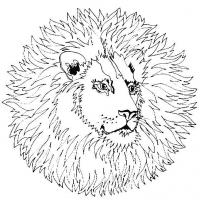 Лев с большой гривой Раскраски антистресс бесплатно