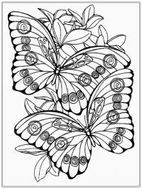 Бабочки Раскраски антистресс бесплатно